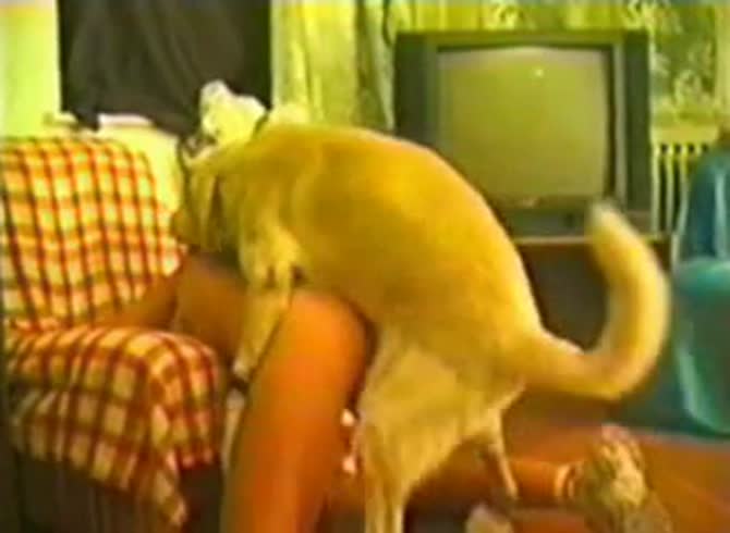 Video :Amateur dog porno with a sexy naked slut